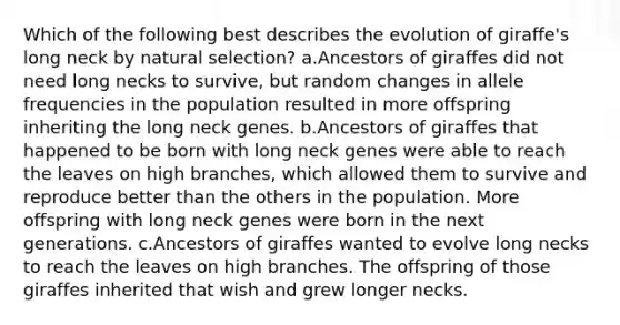 Which of the following best describes the evolution of giraffe's long neck by natural selection? a.Ancestors of giraffes did not need long necks to survive, but random changes in allele frequencies in the population resulted in more offspring inheriting the long neck genes. b.Ancestors of giraffes that happened to be born with long neck genes were able to reach the leaves on high branches, which allowed them to survive and reproduce better than the others in the population. More offspring with long neck genes were born in the next generations. c.Ancestors of giraffes wanted to evolve long necks to reach the leaves on high branches. The offspring of those giraffes inherited that wish and grew longer necks.