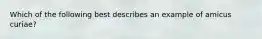 Which of the following best describes an example of amicus curiae?
