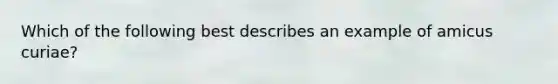 Which of the following best describes an example of amicus curiae?