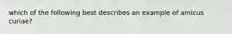 which of the following best describes an example of amicus curiae?