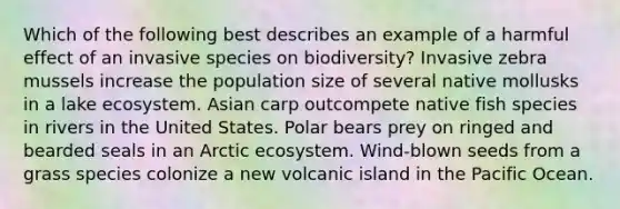 Which of the following best describes an example of a harmful effect of an invasive species on biodiversity? Invasive zebra mussels increase the population size of several native mollusks in a lake ecosystem. Asian carp outcompete native fish species in rivers in the United States. Polar bears prey on ringed and bearded seals in an Arctic ecosystem. Wind-blown seeds from a grass species colonize a new volcanic island in the Pacific Ocean.