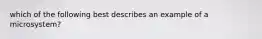 which of the following best describes an example of a microsystem?