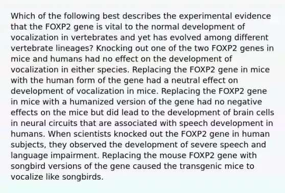 Which of the following best describes the experimental evidence that the FOXP2 gene is vital to the normal development of vocalization in vertebrates and yet has evolved among different vertebrate lineages? Knocking out one of the two FOXP2 genes in mice and humans had no effect on the development of vocalization in either species. Replacing the FOXP2 gene in mice with the human form of the gene had a neutral effect on development of vocalization in mice. Replacing the FOXP2 gene in mice with a humanized version of the gene had no negative effects on the mice but did lead to the development of brain cells in neural circuits that are associated with speech development in humans. When scientists knocked out the FOXP2 gene in human subjects, they observed the development of severe speech and language impairment. Replacing the mouse FOXP2 gene with songbird versions of the gene caused the transgenic mice to vocalize like songbirds.