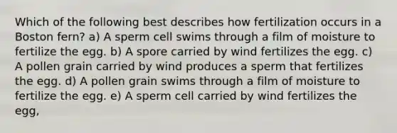 Which of the following best describes how fertilization occurs in a Boston fern? a) A sperm cell swims through a film of moisture to fertilize the egg. b) A spore carried by wind fertilizes the egg. c) A pollen grain carried by wind produces a sperm that fertilizes the egg. d) A pollen grain swims through a film of moisture to fertilize the egg. e) A sperm cell carried by wind fertilizes the egg,