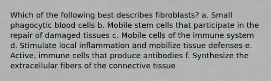 Which of the following best describes fibroblasts? a. Small phagocytic blood cells b. Mobile stem cells that participate in the repair of damaged tissues c. Mobile cells of the immune system d. Stimulate local inflammation and mobilize tissue defenses e. Active, immune cells that produce antibodies f. Synthesize the extracellular fibers of the connective tissue