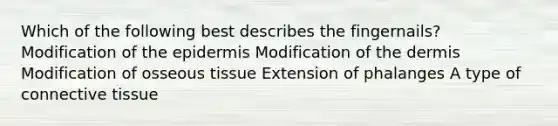 Which of the following best describes the fingernails? Modification of the epidermis Modification of the dermis Modification of osseous tissue Extension of phalanges A type of connective tissue