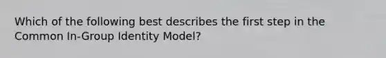 Which of the following best describes the first step in the Common In-Group Identity Model?