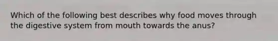 Which of the following best describes why food moves through the digestive system from mouth towards the anus?