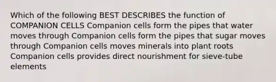 Which of the following BEST DESCRIBES the function of COMPANION CELLS Companion cells form the pipes that water moves through Companion cells form the pipes that sugar moves through Companion cells moves minerals into plant roots Companion cells provides direct nourishment for sieve-tube elements