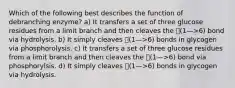 Which of the following best describes the function of debranching enzyme? a) It transfers a set of three glucose residues from a limit branch and then cleaves the 􏰄(1—>6) bond via hydrolysis. b) It simply cleaves 􏰄(1—>6) bonds in glycogen via phosphorolysis. c) It transfers a set of three glucose residues from a limit branch and then cleaves the 􏰄(1—>6) bond via phosphorylsis. d) It simply cleaves 􏰄(1—>6) bonds in glycogen via hydrolysis.