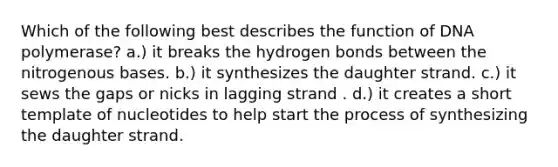 Which of the following best describes the function of DNA polymerase? a.) it breaks the hydrogen bonds between the nitrogenous bases. b.) it synthesizes the daughter strand. c.) it sews the gaps or nicks in lagging strand . d.) it creates a short template of nucleotides to help start the process of synthesizing the daughter strand.