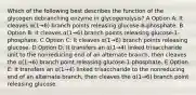 Which of the following best describes the function of the glycogen debranching enzyme in glycogenolysis? A Option A: It cleaves α(1→6) branch points releasing glucose-6-phosphate. B Option B: It cleaves α(1→6) branch points releasing glucose-1-phosphate. C Option C: It cleaves α(1→6) branch points releasing glucose. D Option D: It transfers an α(1→4) linked trisaccharide unit to the nonreducing end of an alternate branch, then cleaves the α(1→6) branch point releasing glucose-1-phosphate. E Option E: It transfers an α(1→4) linked trisaccharide to the nonreducing end of an alternate branch, then cleaves the α(1→6) branch point releasing glucose.