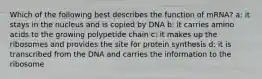 Which of the following best describes the function of mRNA? a: it stays in the nucleus and is copied by DNA b: it carries amino acids to the growing polypetide chain c: it makes up the ribosomes and provides the site for protein synthesis d: it is transcribed from the DNA and carries the information to the ribosome