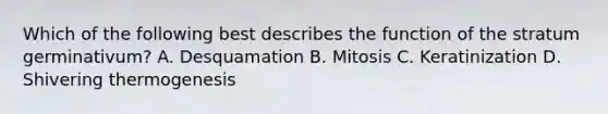 Which of the following best describes the function of the stratum germinativum? A. Desquamation B. Mitosis C. Keratinization D. Shivering thermogenesis