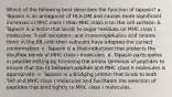 Which of the following best describes the function of tapasin? a. Tapasin is an antagonist of HLA-DM and causes more significant increases in MHC class I than MHC class II on the cell surface. b. Tapasin is a lectin that binds to sugar residues on MHC class I molecules, T-cell receptors, and immunoglobulins and retains them in the ER until their subunits have adopted the correct conformation. c. Tapasin is a thiol-reductase that protects the disulfide bonds of MHC class I molecules. d. Tapasin participates in peptide editing by trimming the amino terminus of peptides to ensure that the fit between peptide and MHC class II molecules is appropriate. e. Tapasin is a bridging protein that binds to both TAP and MHC class I molecules and facilitates the selection of peptides that bind tightly to MHC class I molecules.