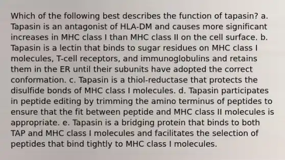 Which of the following best describes the function of tapasin? a. Tapasin is an antagonist of HLA-DM and causes more significant increases in MHC class I than MHC class II on the cell surface. b. Tapasin is a lectin that binds to sugar residues on MHC class I molecules, T-cell receptors, and immunoglobulins and retains them in the ER until their subunits have adopted the correct conformation. c. Tapasin is a thiol-reductase that protects the disulfide bonds of MHC class I molecules. d. Tapasin participates in peptide editing by trimming the amino terminus of peptides to ensure that the fit between peptide and MHC class II molecules is appropriate. e. Tapasin is a bridging protein that binds to both TAP and MHC class I molecules and facilitates the selection of peptides that bind tightly to MHC class I molecules.