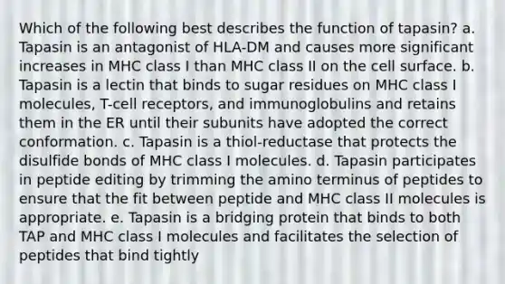 Which of the following best describes the function of tapasin? a. Tapasin is an antagonist of HLA-DM and causes more significant increases in MHC class I than MHC class II on the cell surface. b. Tapasin is a lectin that binds to sugar residues on MHC class I molecules, T-cell receptors, and immunoglobulins and retains them in the ER until their subunits have adopted the correct conformation. c. Tapasin is a thiol-reductase that protects the disulfide bonds of MHC class I molecules. d. Tapasin participates in peptide editing by trimming the amino terminus of peptides to ensure that the fit between peptide and MHC class II molecules is appropriate. e. Tapasin is a bridging protein that binds to both TAP and MHC class I molecules and facilitates the selection of peptides that bind tightly