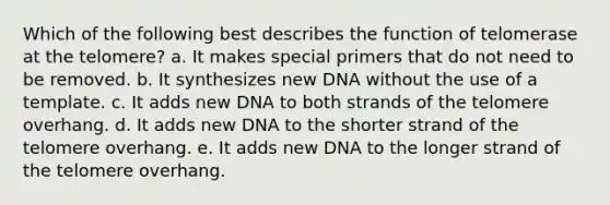 Which of the following best describes the function of telomerase at the telomere? a. It makes special primers that do not need to be removed. b. It synthesizes new DNA without the use of a template. c. It adds new DNA to both strands of the telomere overhang. d. It adds new DNA to the shorter strand of the telomere overhang. e. It adds new DNA to the longer strand of the telomere overhang.