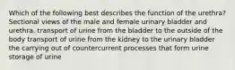 Which of the following best describes the function of the urethra? Sectional views of the male and female urinary bladder and urethra. transport of urine from the bladder to the outside of the body transport of urine from the kidney to the urinary bladder the carrying out of countercurrent processes that form urine storage of urine