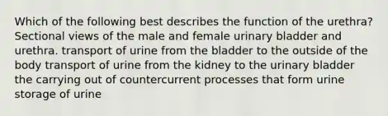 Which of the following best describes the function of the urethra? Sectional views of the male and female urinary bladder and urethra. transport of urine from the bladder to the outside of the body transport of urine from the kidney to the urinary bladder the carrying out of countercurrent processes that form urine storage of urine