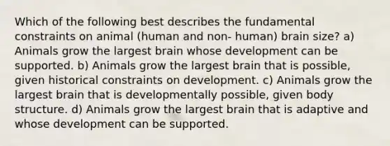 Which of the following best describes the fundamental constraints on animal (human and non- human) brain size? a) Animals grow the largest brain whose development can be supported. b) Animals grow the largest brain that is possible, given historical constraints on development. c) Animals grow the largest brain that is developmentally possible, given body structure. d) Animals grow the largest brain that is adaptive and whose development can be supported.