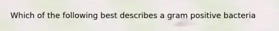 Which of the following best describes a gram positive bacteria