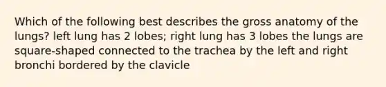 Which of the following best describes the gross anatomy of the lungs? left lung has 2 lobes; right lung has 3 lobes the lungs are square-shaped connected to the trachea by the left and right bronchi bordered by the clavicle