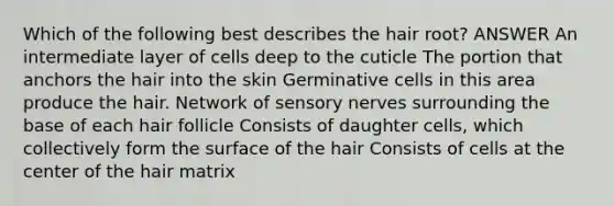 Which of the following best describes the hair root? ANSWER An intermediate layer of cells deep to the cuticle The portion that anchors the hair into the skin Germinative cells in this area produce the hair. Network of sensory nerves surrounding the base of each hair follicle Consists of daughter cells, which collectively form the surface of the hair Consists of cells at the center of the hair matrix