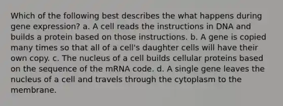 Which of the following best describes the what happens during gene expression? a. A cell reads the instructions in DNA and builds a protein based on those instructions. b. A gene is copied many times so that all of a cell's daughter cells will have their own copy. c. The nucleus of a cell builds cellular proteins based on the sequence of the mRNA code. d. A single gene leaves the nucleus of a cell and travels through the cytoplasm to the membrane.