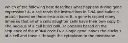 Which of the following best describes what happens during gene expression? A- a cell reads the instructions in DNA and builds a protein based on those instructions B- a gene is copied many times so that all of a cells daughter cells have their own copy C- The nucleus of a cell build cellular proteins based on the sequence of the mRNA code D- a single gene leaves the nucleus of a cell and travels through the cytoplasm to the membrane