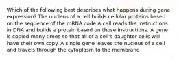 Which of the following best describes what happens during gene expression? The nucleus of a cell builds cellular proteins based on the sequence of the mRNA code A cell reads the instructions in DNA and builds a protein based on those instructions. A gene is copied many times so that all of a cell's daughter cells will have their own copy. A single gene leaves the nucleus of a cell and travels through the cytoplasm to the membrane