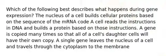 Which of the following best describes what happens during <a href='https://www.questionai.com/knowledge/kFtiqWOIJT-gene-expression' class='anchor-knowledge'>gene expression</a>? The nucleus of a cell builds cellular proteins based on the sequence of the mRNA code A cell reads the instructions in DNA and builds a protein based on those instructions. A gene is copied many times so that all of a cell's daughter cells will have their own copy. A single gene leaves the nucleus of a cell and travels through the cytoplasm to the membrane