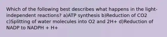 Which of the following best describes what happens in the light-independent reactions? a)ATP synthesis b)Reduction of CO2 c)Splitting of water molecules into O2 and 2H+ d)Reduction of NADP to NADPH + H+