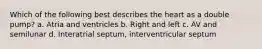 Which of the following best describes the heart as a double pump? a. Atria and ventricles b. Right and left c. AV and semilunar d. Interatrial septum, interventricular septum