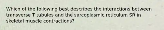 Which of the following best describes the interactions between transverse T tubules and the sarcoplasmic reticulum SR in skeletal muscle contractions?