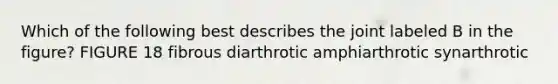 Which of the following best describes the joint labeled B in the figure? FIGURE 18 fibrous diarthrotic amphiarthrotic synarthrotic