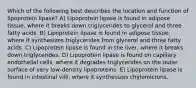 Which of the following best describes the location and function of lipoprotein lipase? A) Lipoprotein lipase is found in adipose tissue, where it breaks down triglycerides to glycerol and three fatty acids. B) Lipoprotein lipase is found in adipose tissue, where it synthesizes triglycerides from glycerol and three fatty acids. C) Lipoprotein lipase is found in the liver, where it breaks down triglycerides. D) Lipoprotein lipase is found on capillary endothelial cells, where it degrades triglycerides on the outer surface of very low-density lipoproteins. E) Lipoprotein lipase is found in intestinal villi, where it synthesizes chylomicrons.