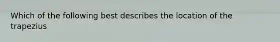 Which of the following best describes the location of the trapezius