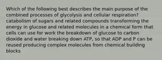 Which of the following best describes the main purpose of the combined processes of glycolysis and cellular respiration? catabolism of sugars and related compounds transforming the energy in glucose and related molecules in a chemical form that cells can use for work the breakdown of glucose to carbon dioxide and water breaking down ATP, so that ADP and P can be reused producing complex molecules from chemical building blocks