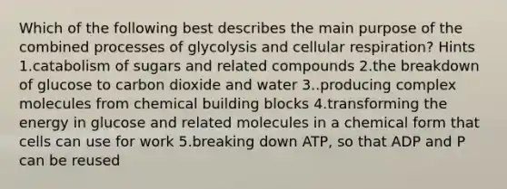 Which of the following best describes the main purpose of the combined processes of glycolysis and cellular respiration? Hints 1.catabolism of sugars and related compounds 2.the breakdown of glucose to carbon dioxide and water 3..producing complex molecules from chemical building blocks 4.transforming the energy in glucose and related molecules in a chemical form that cells can use for work 5.breaking down ATP, so that ADP and P can be reused