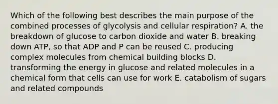 Which of the following best describes the main purpose of the combined processes of glycolysis and cellular respiration? A. the breakdown of glucose to carbon dioxide and water B. breaking down ATP, so that ADP and P can be reused C. producing complex molecules from chemical building blocks D. transforming the energy in glucose and related molecules in a chemical form that cells can use for work E. catabolism of sugars and related compounds