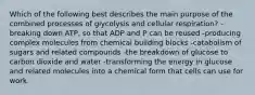 Which of the following best describes the main purpose of the combined processes of glycolysis and cellular respiration? -breaking down ATP, so that ADP and P can be reused -producing complex molecules from chemical building blocks -catabolism of sugars and related compounds -the breakdown of glucose to carbon dioxide and water -transforming the energy in glucose and related molecules into a chemical form that cells can use for work