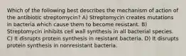 Which of the following best describes the mechanism of action of the antibiotic streptomycin? A) Streptomycin creates mutations in bacteria which cause them to become resistant. B) Streptomycin inhibits cell wall synthesis in all bacterial species. C) It disrupts protein synthesis in resistant bacteria. D) It disrupts protein synthesis in nonresistant bacteria.