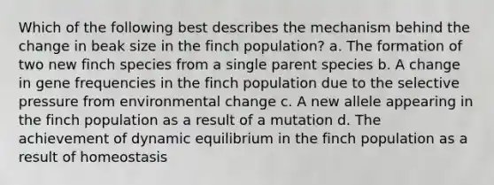 Which of the following best describes the mechanism behind the change in beak size in the finch population? a. The formation of two new finch species from a single parent species b. A change in gene frequencies in the finch population due to the selective pressure from environmental change c. A new allele appearing in the finch population as a result of a mutation d. The achievement of dynamic equilibrium in the finch population as a result of homeostasis