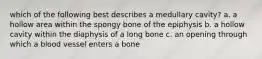 which of the following best describes a medullary cavity? a. a hollow area within the spongy bone of the epiphysis b. a hollow cavity within the diaphysis of a long bone c. an opening through which a blood vessel enters a bone