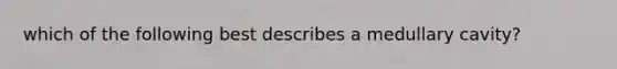 which of the following best describes a medullary cavity?