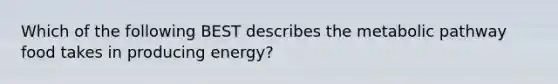 Which of the following BEST describes the metabolic pathway food takes in producing energy?