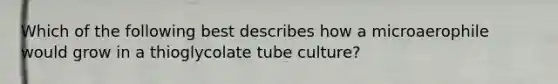 Which of the following best describes how a microaerophile would grow in a thioglycolate tube culture?