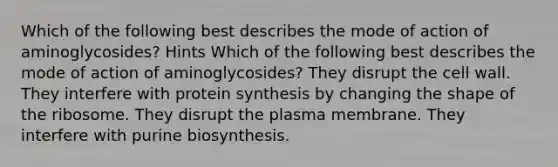 Which of the following best describes the mode of action of aminoglycosides? Hints Which of the following best describes the mode of action of aminoglycosides? They disrupt the cell wall. They interfere with protein synthesis by changing the shape of the ribosome. They disrupt the plasma membrane. They interfere with purine biosynthesis.