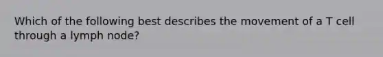 Which of the following best describes the movement of a T cell through a lymph node?